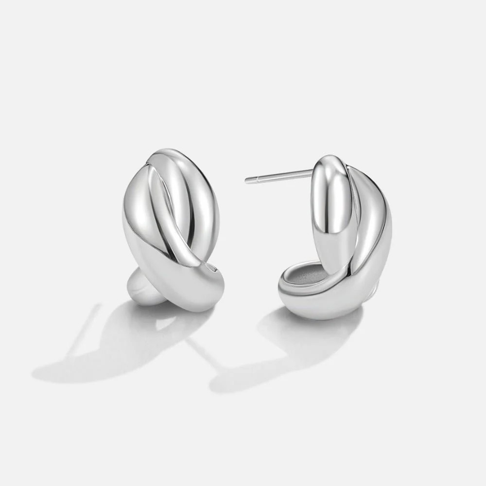 Silver Dakota Twisted Earrings - Image 3