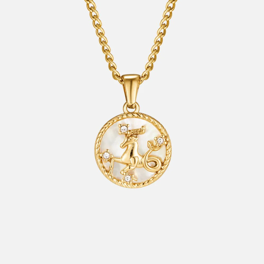 White Shell Zodiac Coin Necklace - Image 15