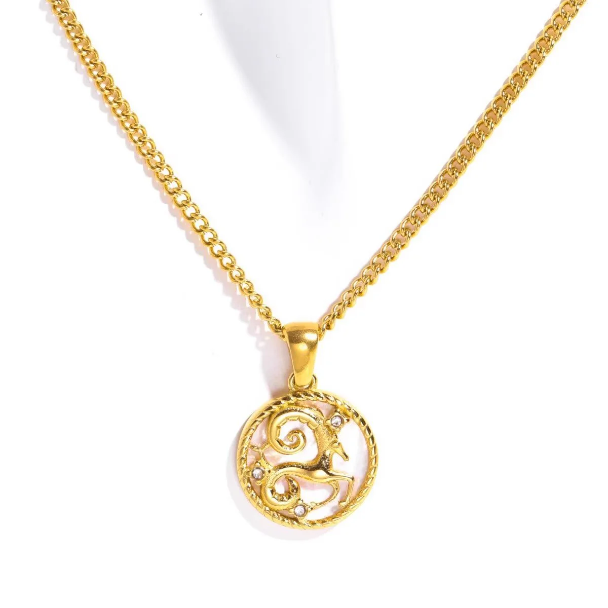 White Shell Zodiac Coin Necklace - Image 18