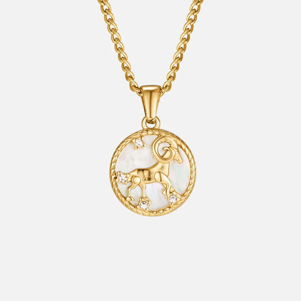 White Shell Zodiac Coin Necklace - Image 6