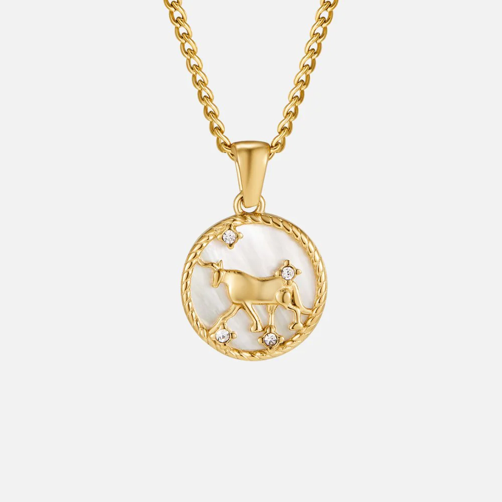 White Shell Zodiac Coin Necklace - Image 7